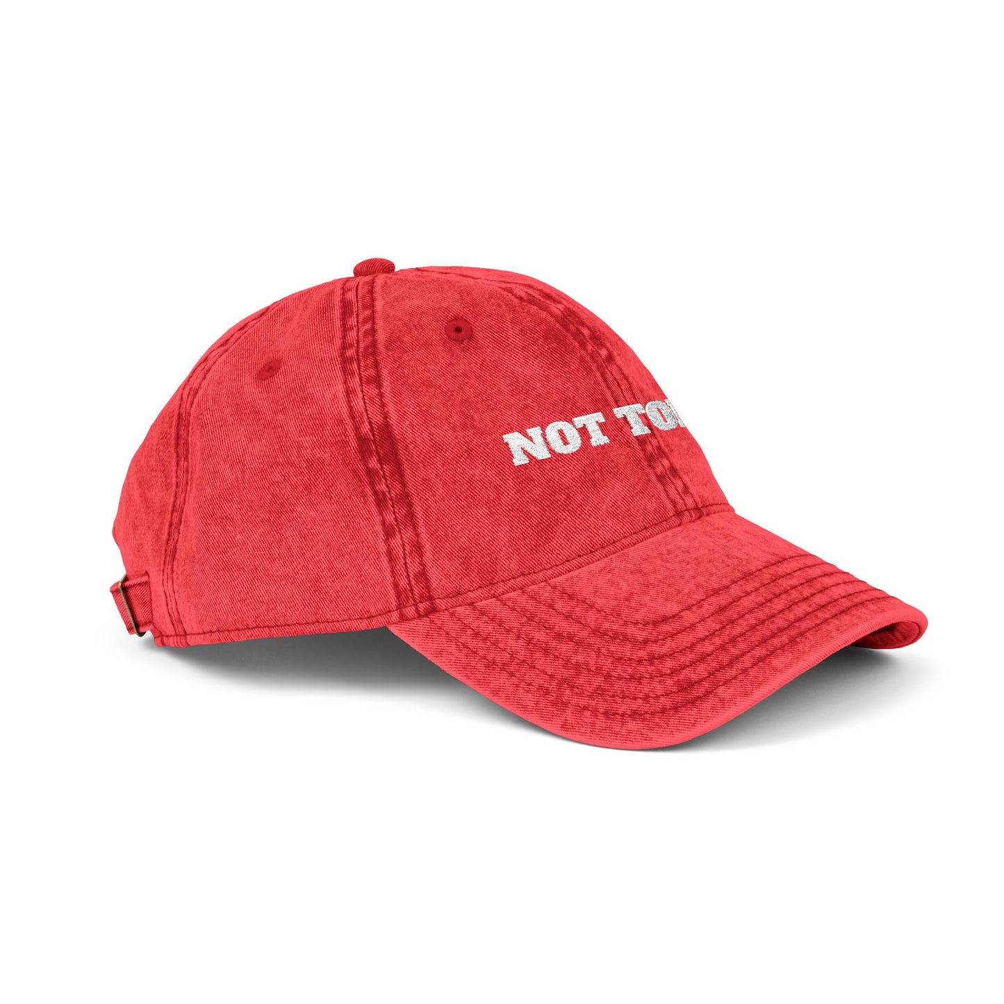 Not Today Embroidered Vintage Cap — Distressed Red Dad Hat Funny Slogan