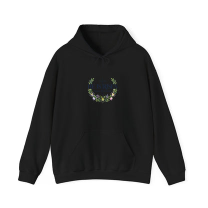 He Is Risen Hoodie | Christian Easter sweatshirt, resurrection shirt, pastel faith apparel